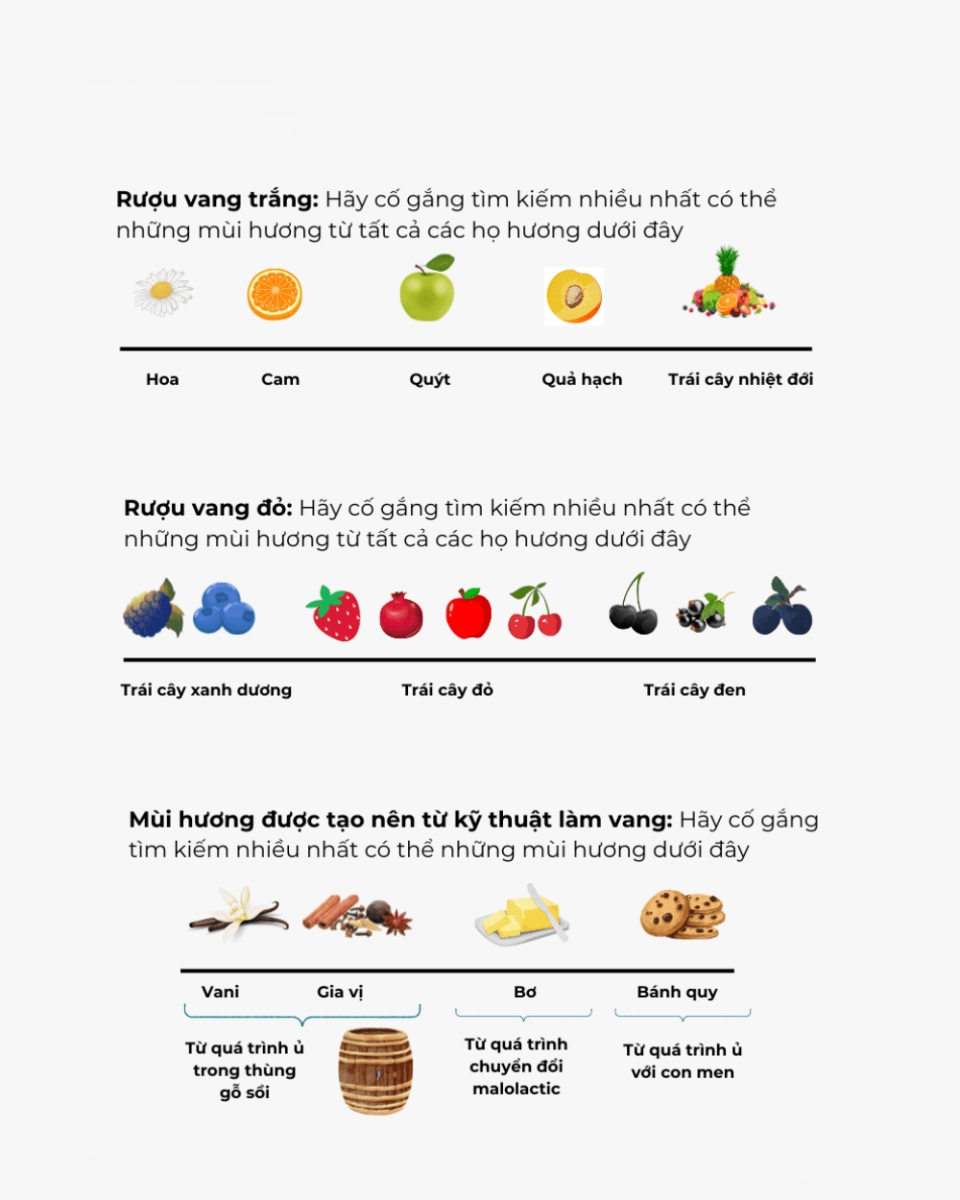 cách nếm rượu vang