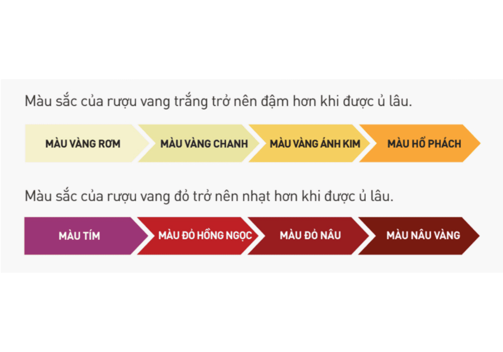 giá rượu vang nhập khẩu